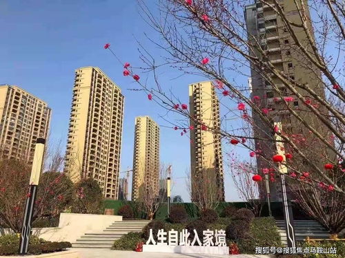 鎮(zhèn)江新盤速遞 一站式獲取樓盤動態(tài)、地址戶型與教育資源解析